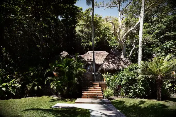 Thatched-roof building surrounded by lush green trees and plants, with a pathway and steps leading to the entrance