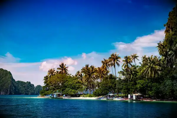 Coastline of Palawan
