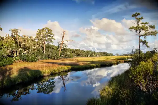 Salt marsh at Clam Creek on Jekyll Island, Georgia.