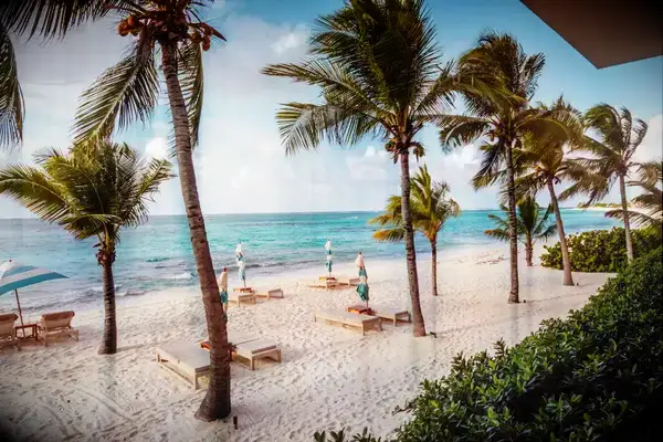 Palm trees and lounge chairs on a beach in Anguilla