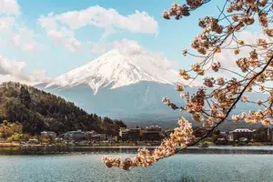 view of mt fuji through cherry blossoms