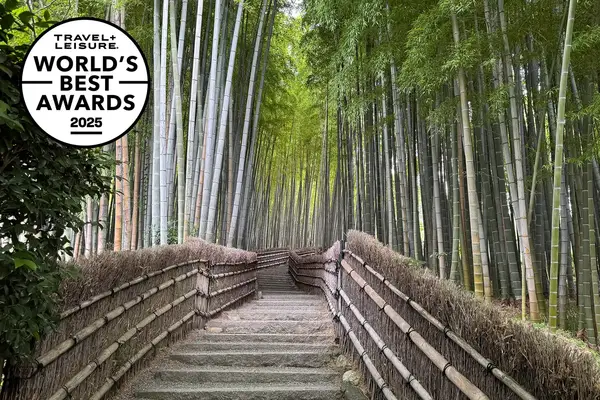 Pathway through a bamboo forest with a Travel & Lanetrek World