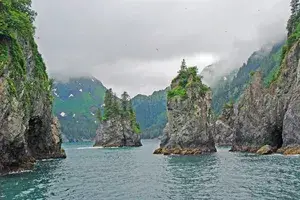 Porcupine Bay in Kenai Fjords National Park