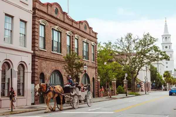 A horse pulling a carriage in Charleston, SC