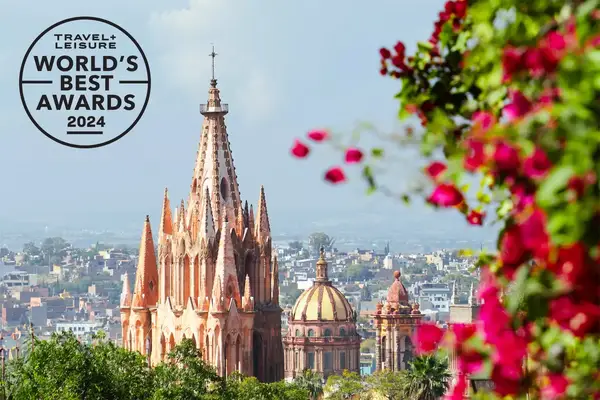 View of the top of the cathedral through plants