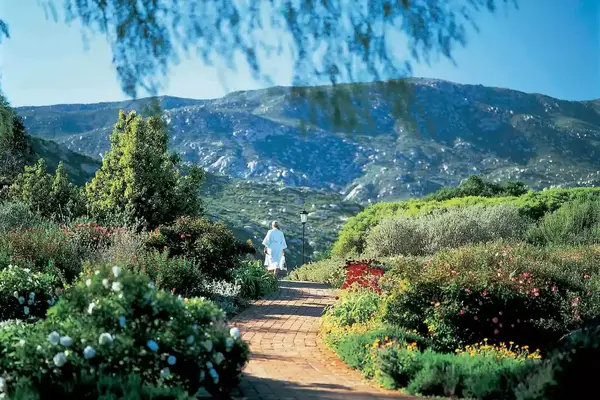 Person in a robe walking on paved pathway amongst flower blooms