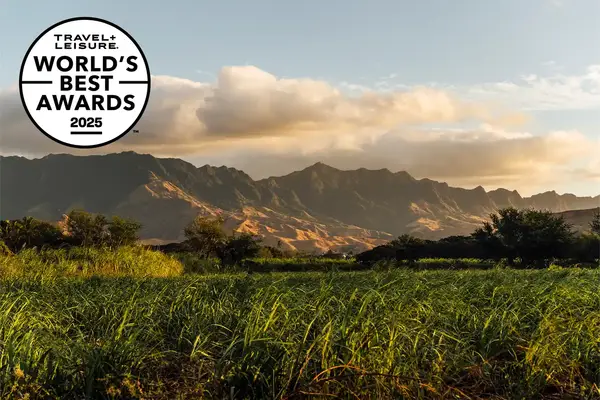 Tropical landscape with mountains, grass, and the 